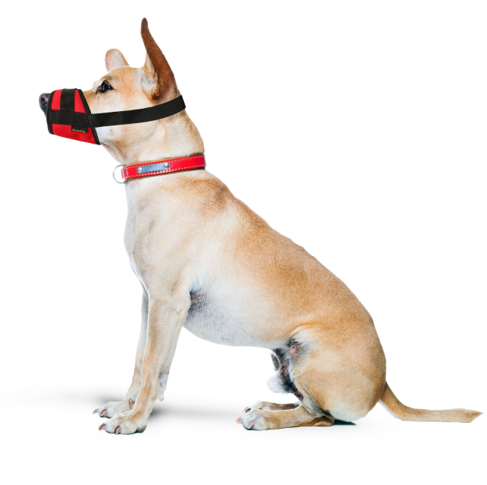Adjustable Muzzle