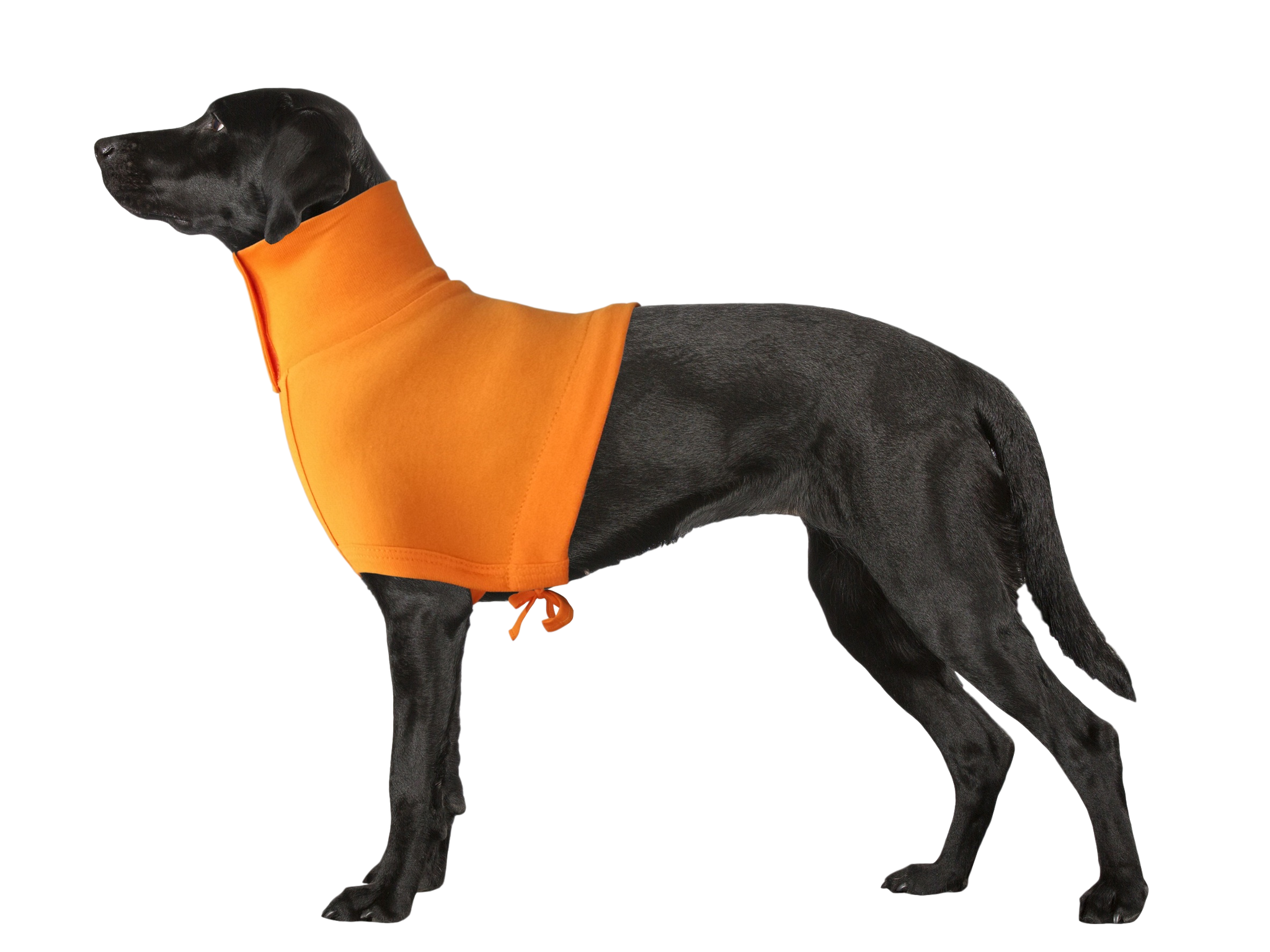 neck upper back protection dog wrap diy dressing