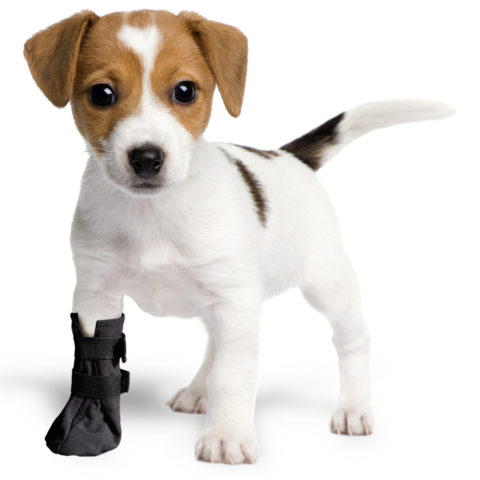 Wound Protective Recovery Boot for Cats and Dogs