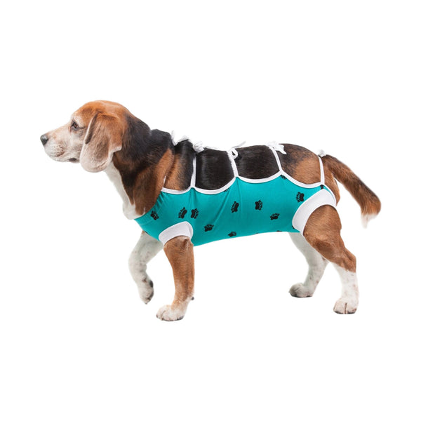 ecollar alternative recovery gown pets jack russel green