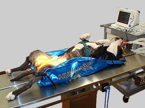 Warming & Positioning