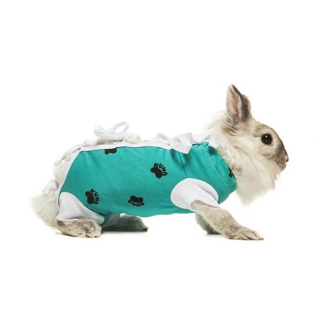 ecollar alternative recovery gown pets rabbit green
