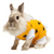 ecollar alternative recovery gown pets rabbit yellow